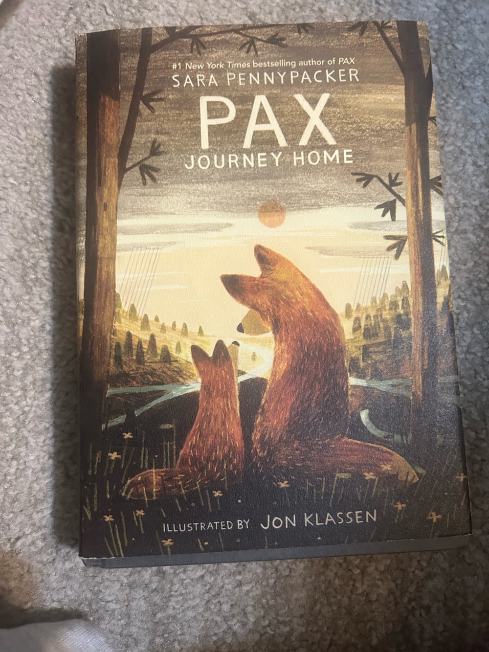 Pax by Sara Pennypacker, Illustrated by Jon Klassen Hardcover